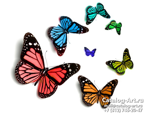  Butterflies 23